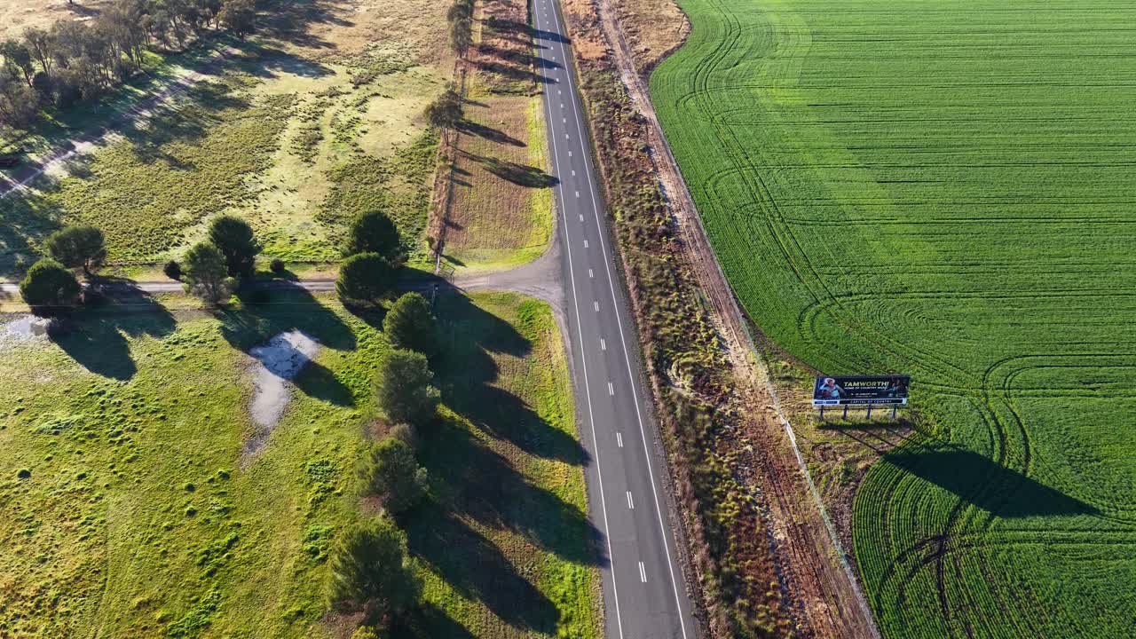 Drone footage captures a straight countryside road bordered by green fields and scattered trees in morning sunlight, with smooth forward camera movement