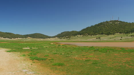 un valle verde cerca de fez, marruecos, con un rebaño de ovejas al fondo.