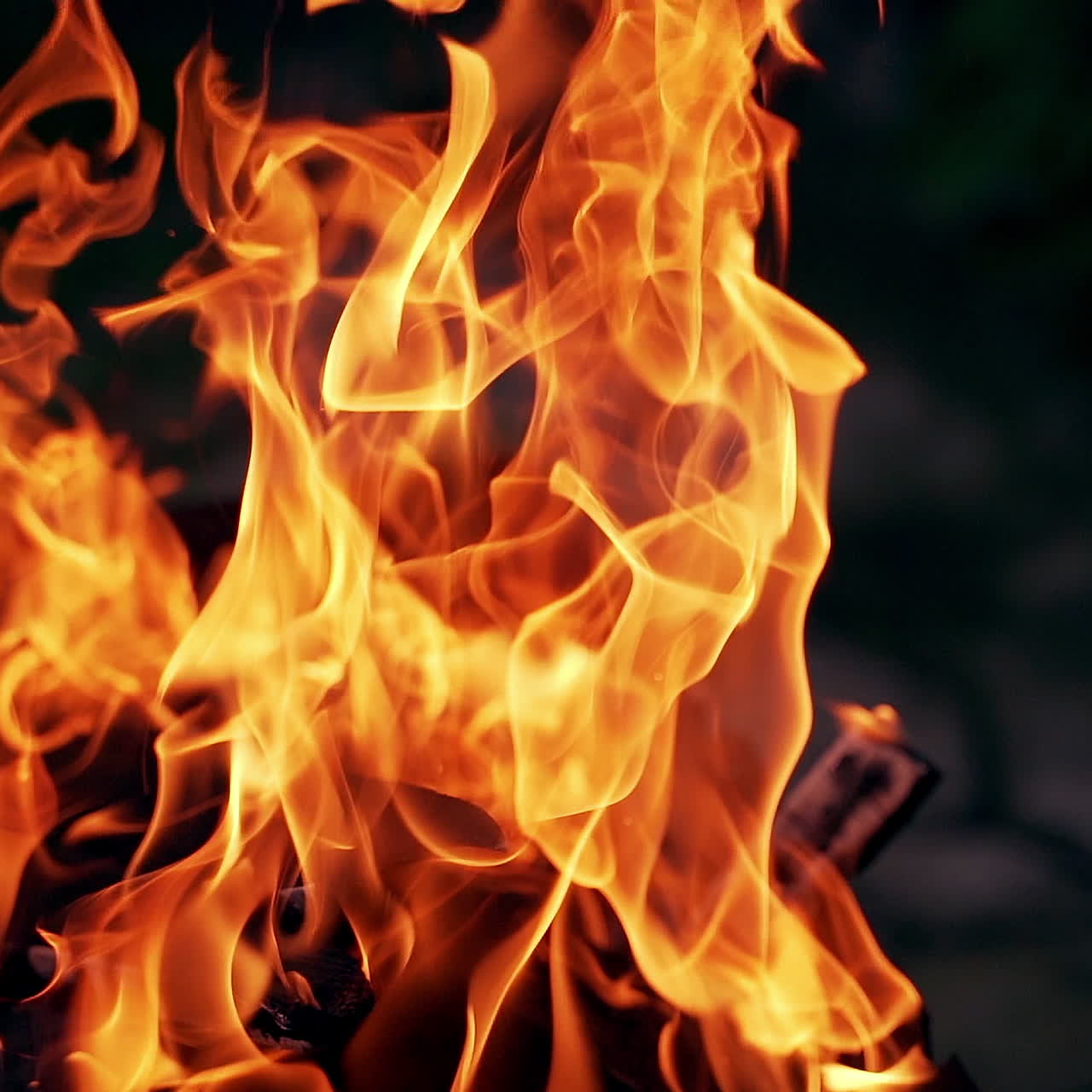 Red and yellow flame burning at night. Vivid campfire in darkness. Beautiful fire burns brightly. Orange flames surging up.