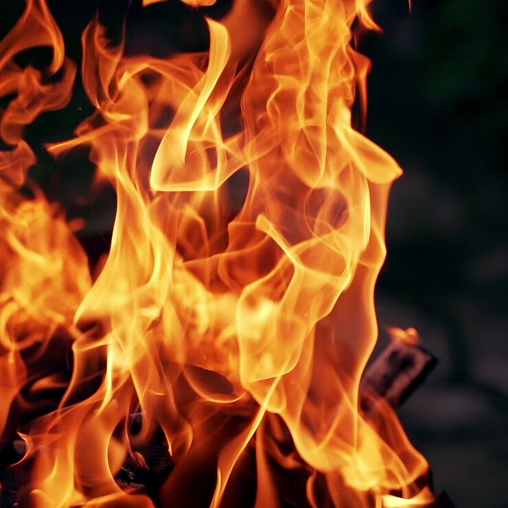 Red and yellow flame burning at night. Vivid campfire in darkness. Beautiful fire burns brightly. Orange flames surging up.