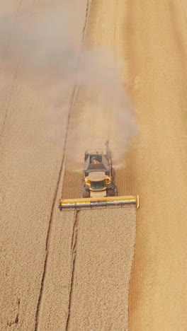 yellow harvester sliding peacefully by the ripe golden field. combine working and leaving dusty trail behind. top view. vertical video