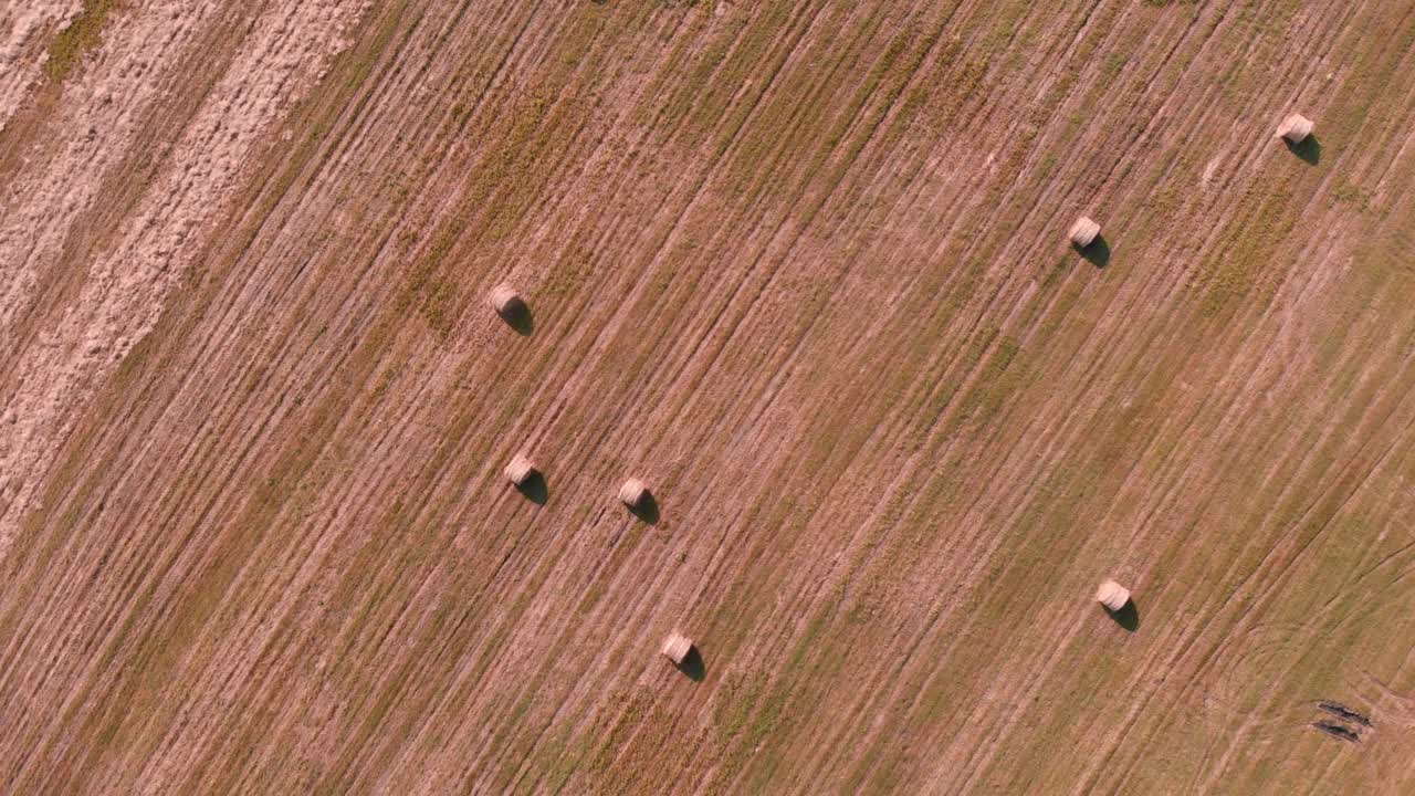 Hay rolls on large wheat field at countryside. Hay bales on agriculture field. Haystacks on field. Agronomy and agribusiness concept