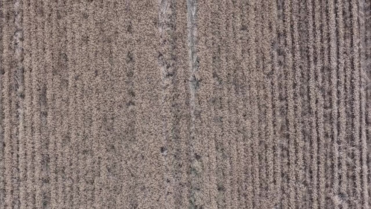 An aerial view captures textured patterns of a cultivated agricultural field, showcasing linear crop rows and dry stubble, representing farming practices.