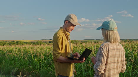 farmers discussing corn field data using a laptop