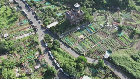 Vista-Aérea-De-Cultivos-Y-Huertas-En-Zhuwei,-Distrito-De-Tamsui,-Taipei.