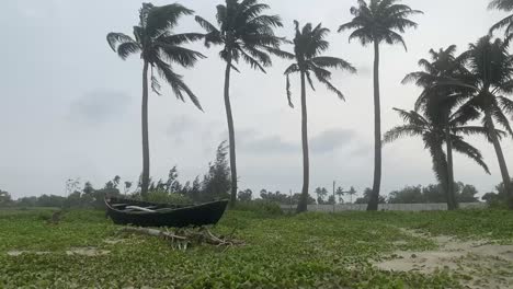 A-wooden-fishing-boat-stranded-in-an-Indian-island-with-coconut-trees-in-the-background