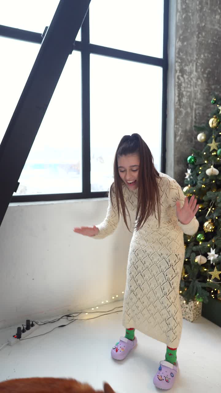 여자 와 개 가 크리스마스 트리 근처 에서 놀고 있다