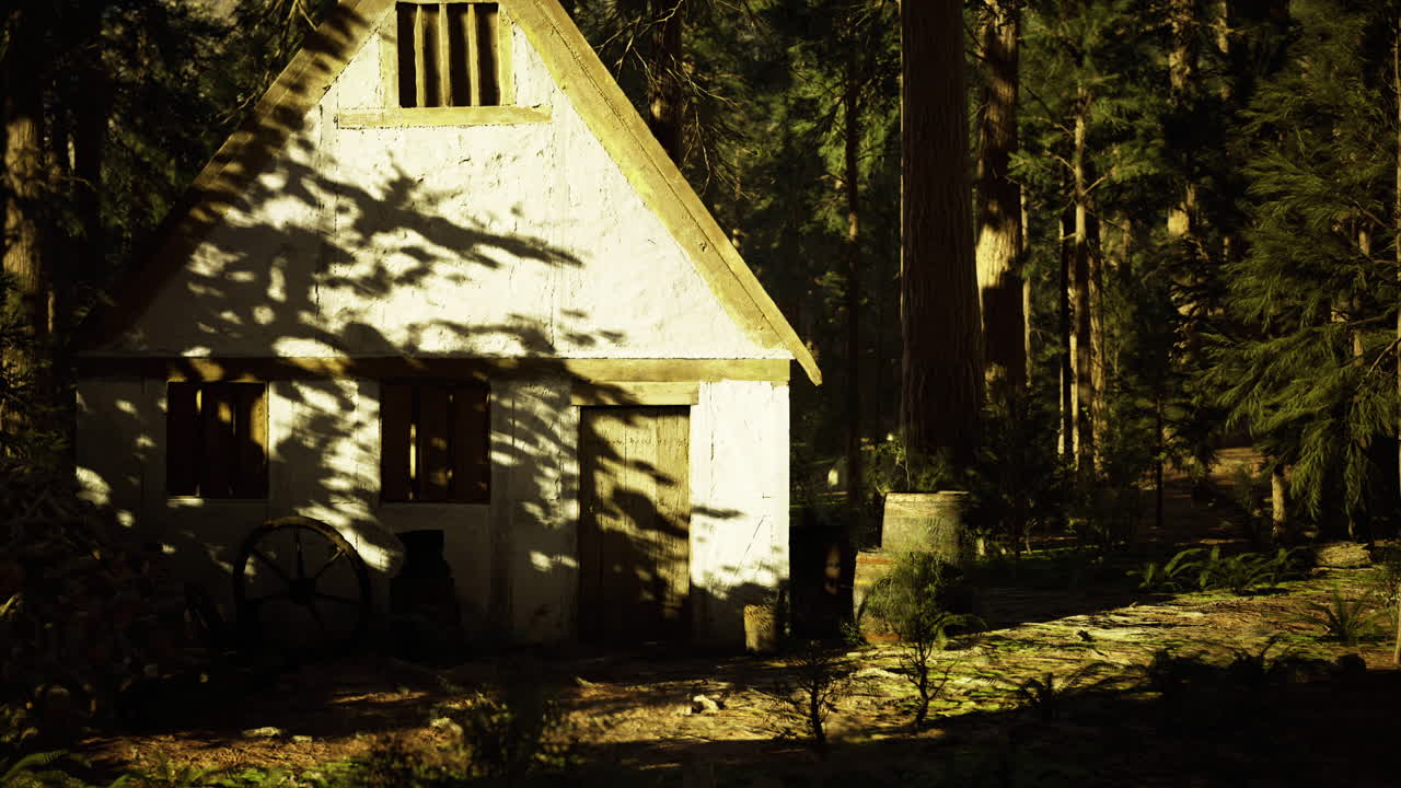 Rustic cabin surrounded by trees in a serene forest environment