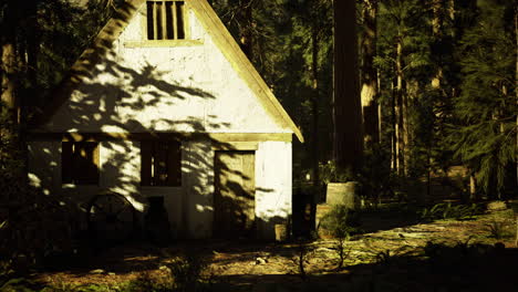 rustic cabin surrounded by trees in a serene forest environment