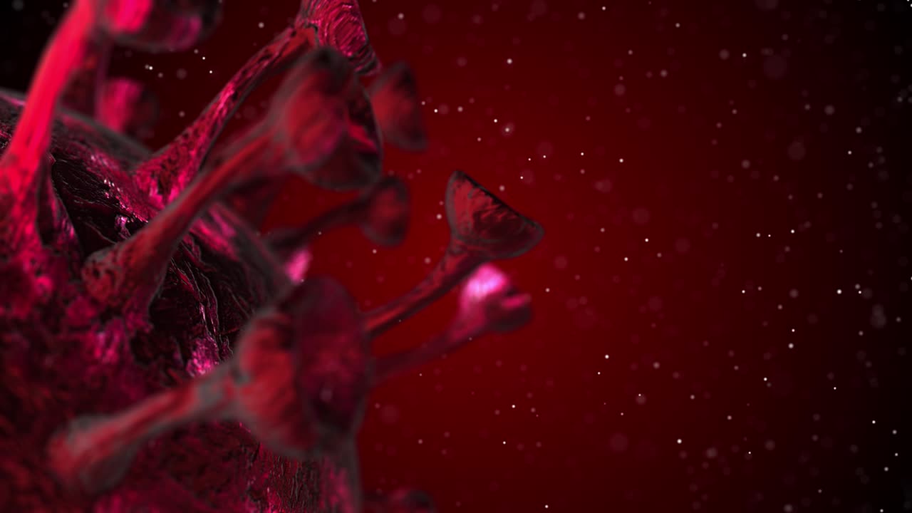 코로나 코로나19 경보: 팬데 박테리아 병원균 의료 건강 위험, 면역학, 바이러스학, 역학 개념, 현미경 바이러스 세포, 3d 렌더링 루프 애니메이션