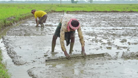 Indian-rural-farmers-working-in-the-plowed-field