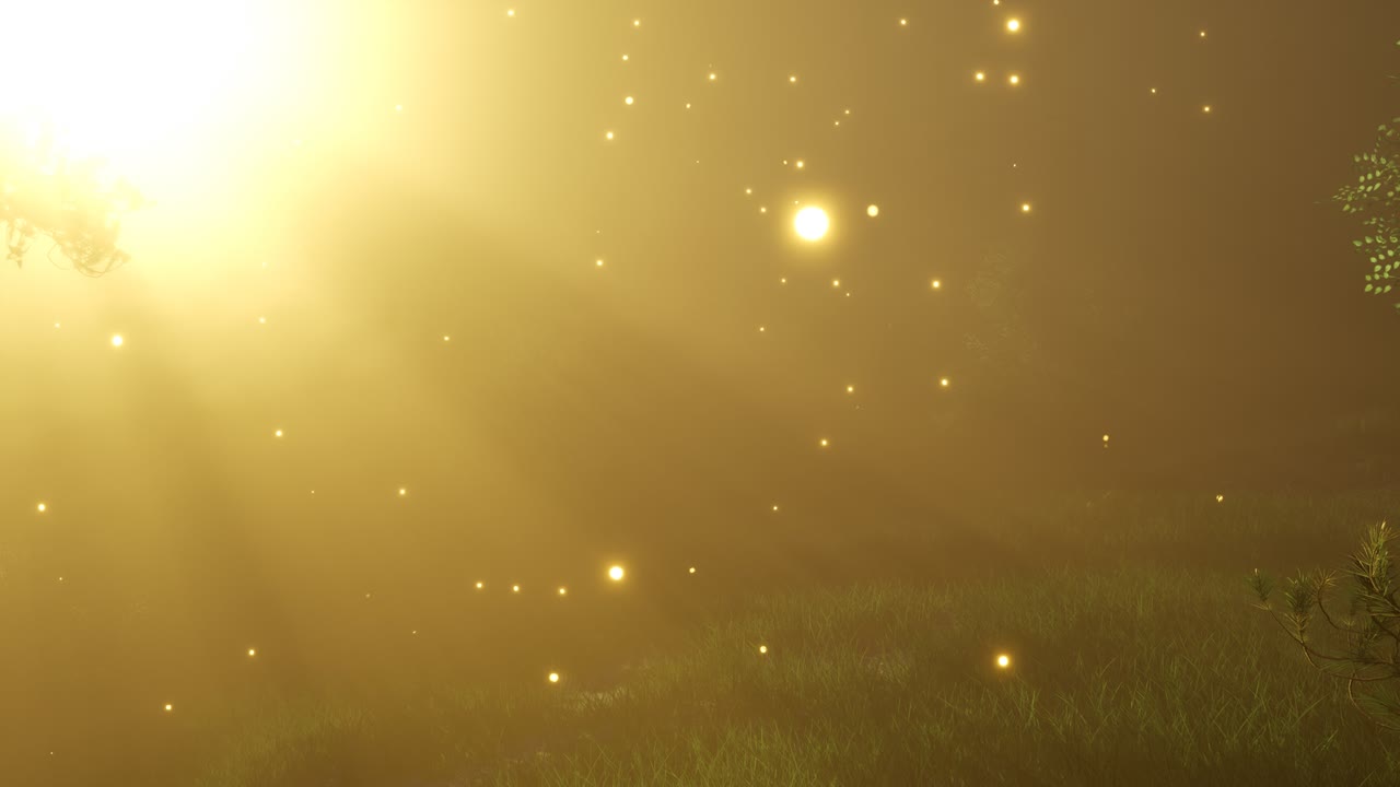 반 ⁇ 이는 마법의 숲