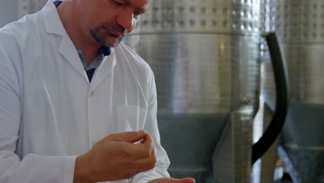 trabajador masculino oliendo sloe gin en la fábrica 4k