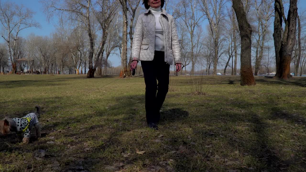 은 여자가 공원에서 작은 개와 함께 고 있습니다.