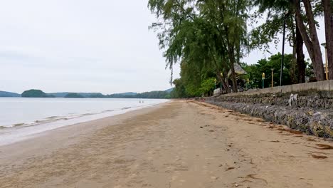 tranquil sandy beach with lush greenery in krabi, thailand