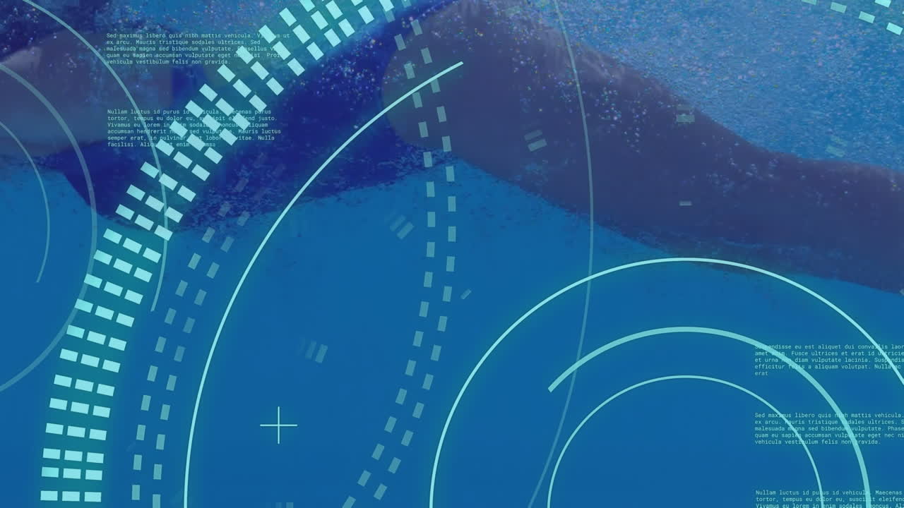 카우카스 여성 수영에 대한 범위 스캔과 데이터 처리의 애니메이션