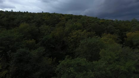 Fliegen-über-Grünem-Wald-In-Slowenien