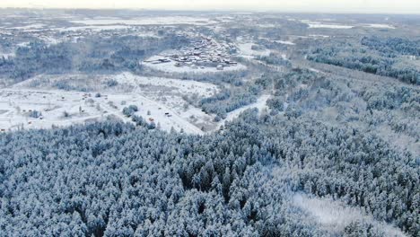 snowy winter landscape with forest and village