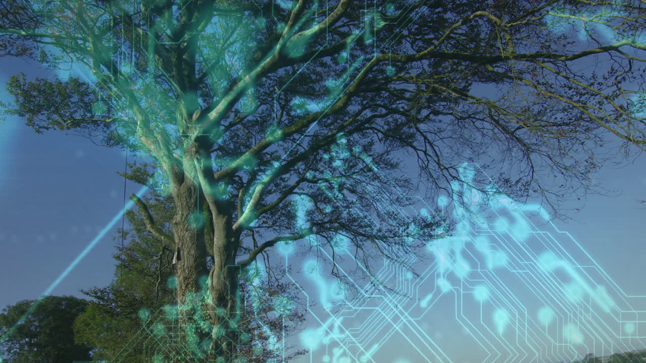 Deciduous tree glowing with blue circuit patterns in woodland clearing, using flat design style