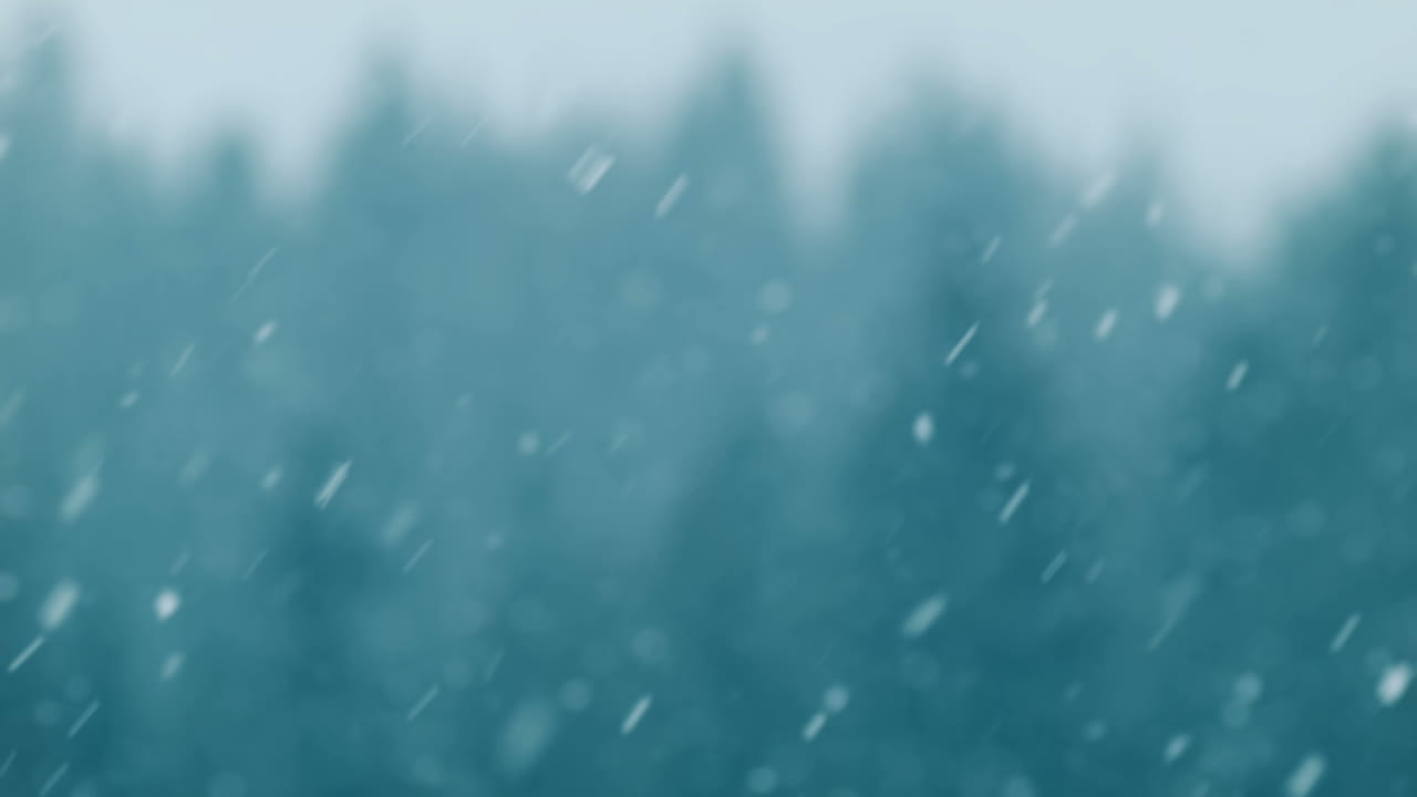 Snow Falling Over Majestic Snow Covered Trees in Woods Backcountry (Stock Footage)