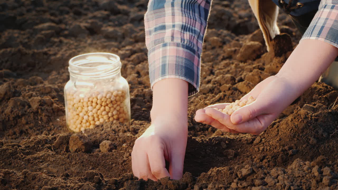mujer plantando semillas en el primer plano de su jardín