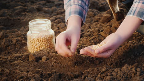 Woman-Planting-Seeds-In-Her-Garden-Close-Up