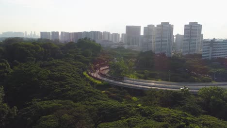 paisaje urbano de singapur con parque y autopista