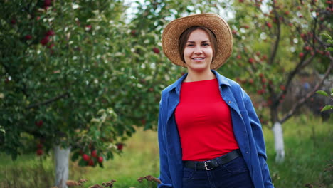 frau, die äpfel in einem obstgarten erntet