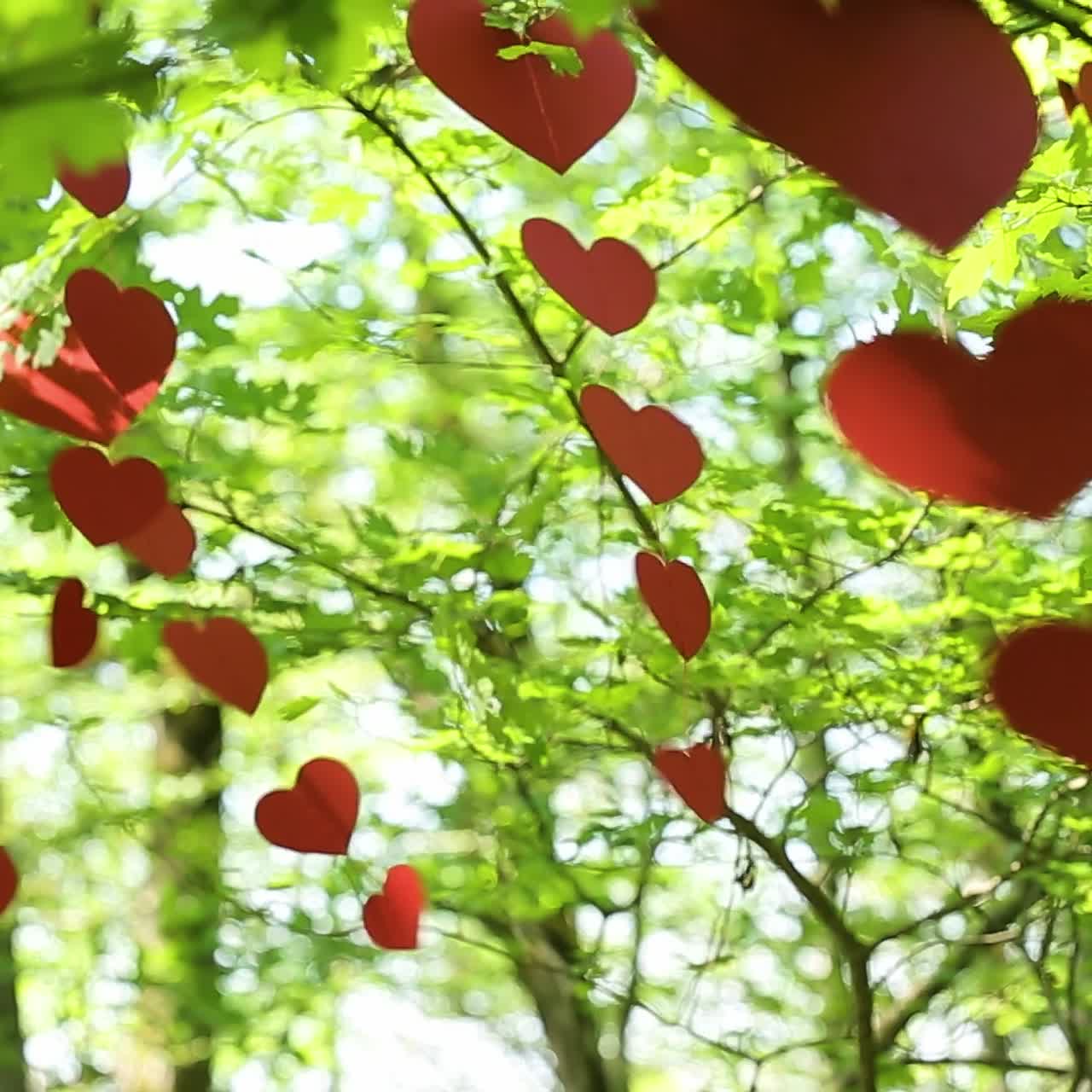 Leaves in form of heart. Leaves of tree in the form of heart