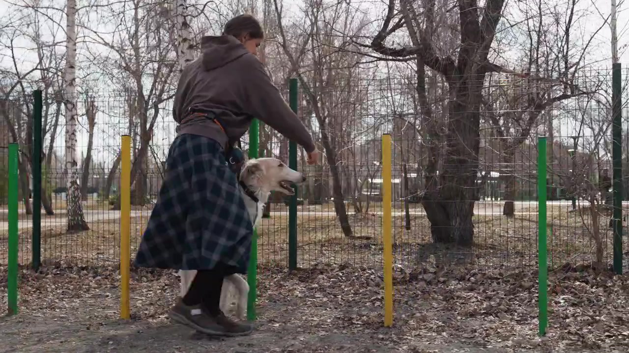 Woman walks white dog with brown spots along fenced path in outdoor park interacting and guiding pet through leaf covered ground. scene features bare trees scattered dry leaves on earthy