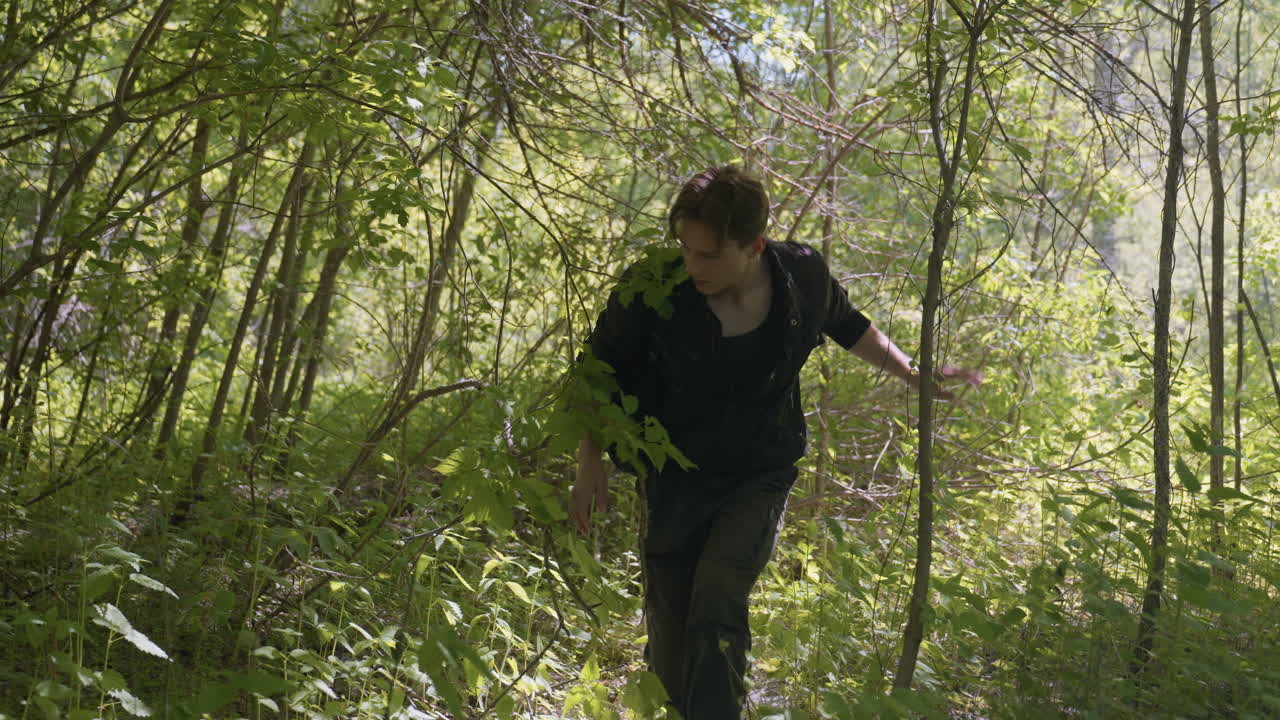 Adventurer wearing dark outfit explores dense bushland under bright daylight, cautiously moving through forest path while observing surroundings, gripping branches to steady movement through forest