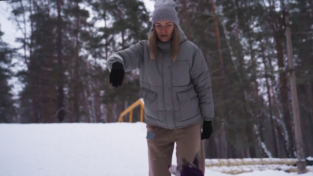 Woman in winter clothes points while standing next to obedient dog in purple coat during training session on snowy forest trail surrounded by tall pine trees under soft winter daylight