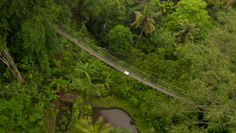 Vista-Aérea-Del-Puente-Colgante-En-La-Selva.-Puente-De-Madera-Suspendido-En-Las-Copas-De-Las-Palmeras-Tropicales