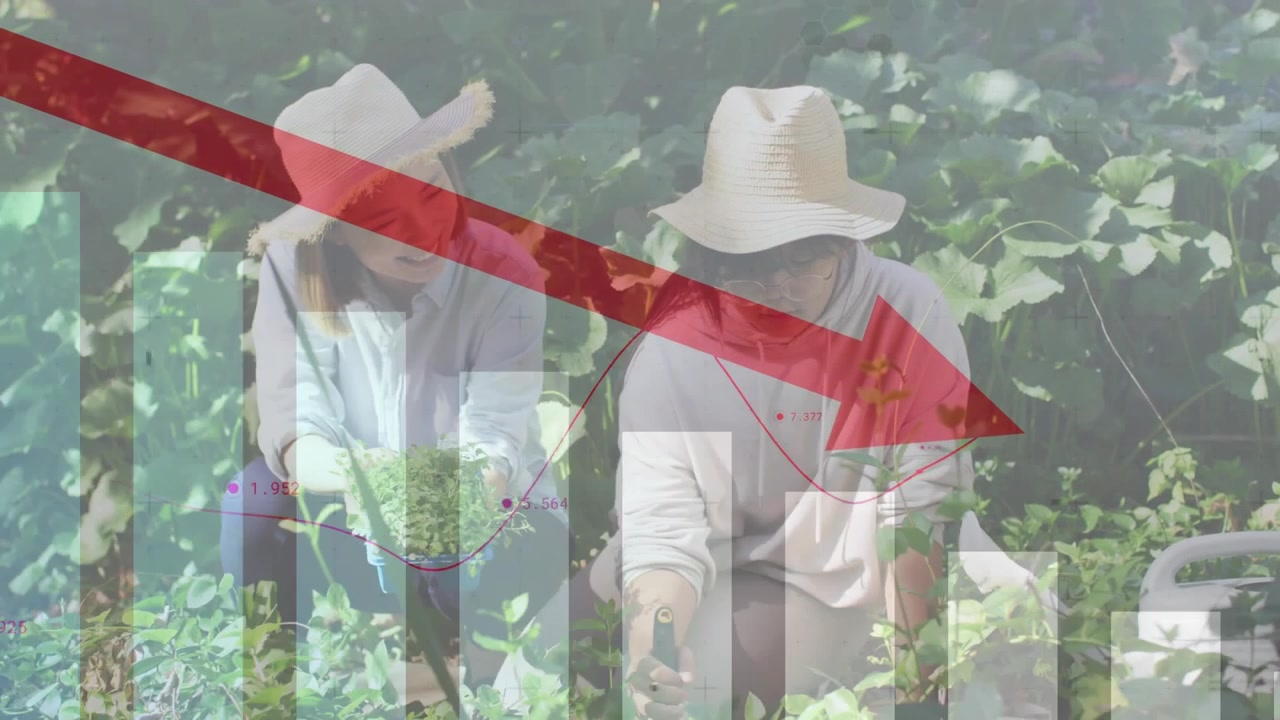 เกษตรกรทำงานในสวนพร้อมภาพซ้อนกราฟการเงินที่ลดลง