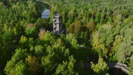 beautiful drone view flying through treetop walkway tower with people on it between green woods located in anyksciai, lithuania, eastern europe