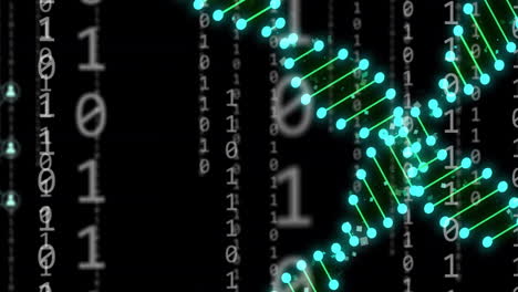 animation of dna strands and newtork of connections over data processing on black background