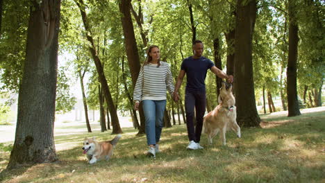 people with pets at the park