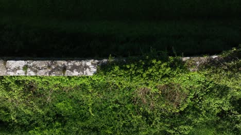 caledon border wall, county tyrone, northern ireland, may 2023. drone flies top-down over historic divide wall, mossy stone, rural greenery and historical textures while moving right.