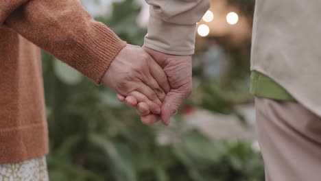 Pareja-Adulta-Tomados-De-La-Mano-Juntos