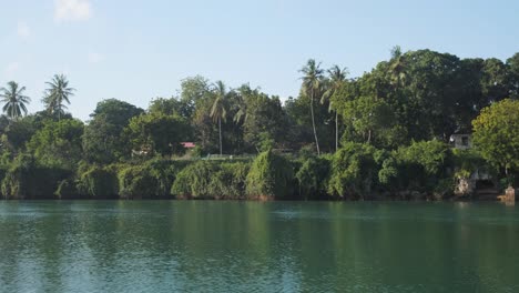 Traveling-through-mangroves-during-sunrise-near-Mombasa,-Kenya