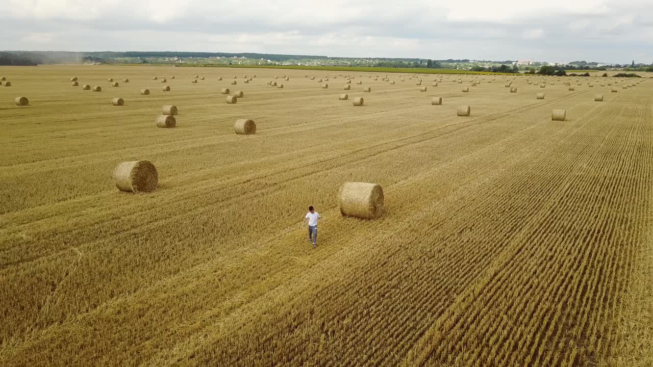 Boy Walking In Field. Adorable preschooler boy walking happily in field