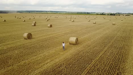Boy Walking In Field. Adorable preschooler boy walking happily in field
