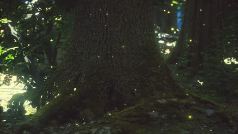 Fantasy-Glühwürmchen-Im-Zauberwald
