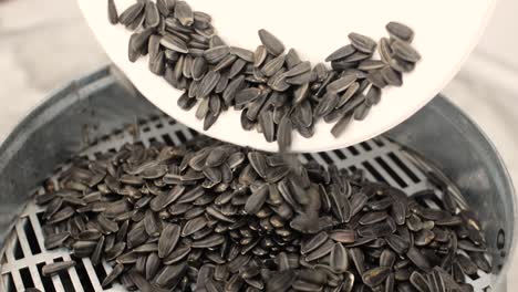 sunflower seeds peeled at the factory