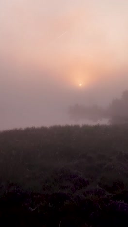 misty sunrise over water with contrail