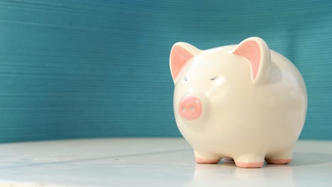saving money in a piggy bank, inserting coin inside pig coin box, hand putting coins in a pig isolated on blue background, closeup. money savings