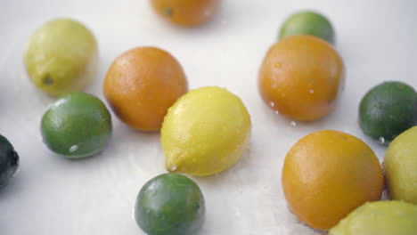 slomo of citrus in water on white backdrop