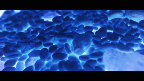 close-up of mixed nuts and grains under blue light