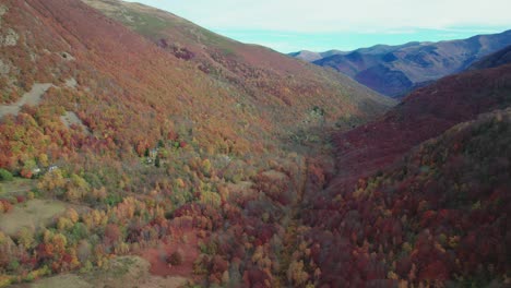 aerial view of colorful trees during autumn in the french pyrenees mountains