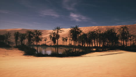 oasis in the desert